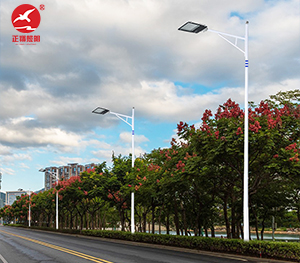 LED市電路燈ZX-LD103