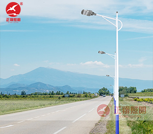 LED市電路燈ZX-LD106