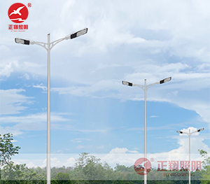 LED市電路燈ZX-LD107