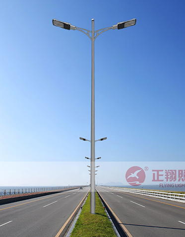 LED市電路燈ZX-LD107