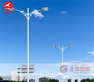 LED市電路燈ZX-LD109