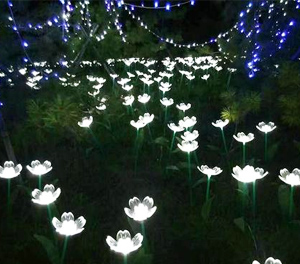LED光纖燈ZX1301應(yīng)用圖1