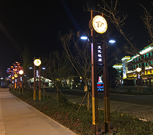 LED景觀燈ZX1018應(yīng)用圖3
