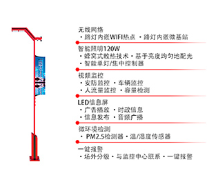 智慧路燈ZX1400應用圖1