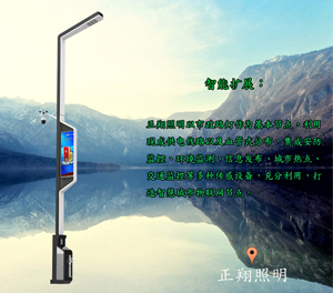 LED智慧路燈ZX1402應(yīng)用圖1