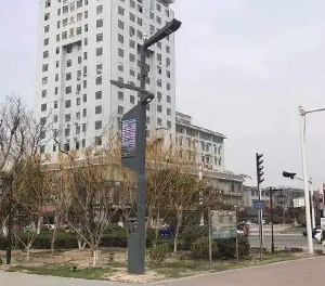 LED智慧路燈ZX1405應用圖3