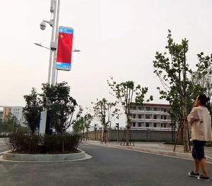 LED智慧路燈ZX1406應(yīng)用圖3