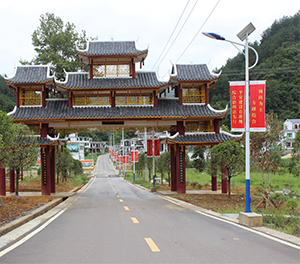 LED太陽能路燈ZX1501應(yīng)用圖3