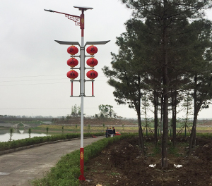 LED太陽能路燈ZX1502應用圖1