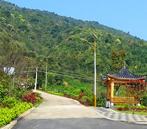 LED太陽(yáng)能路燈ZX1513應(yīng)用圖3