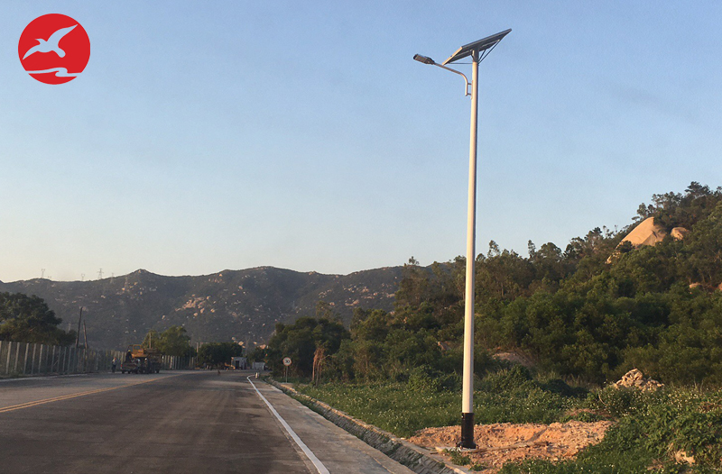 廣東省江門市臺山市強(qiáng)興漁村273省道太陽能路燈工程