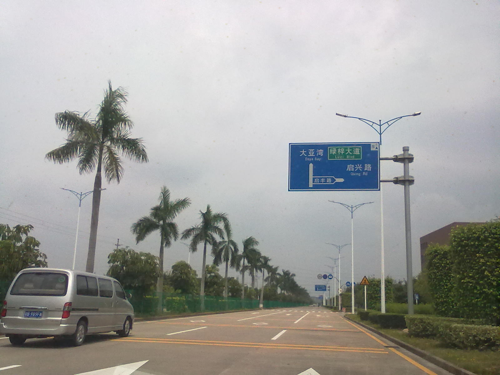 廣東省-惠州市-大亞灣路燈工程-LED路燈案例 (2)