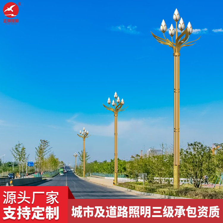 路燈養(yǎng)護(hù)