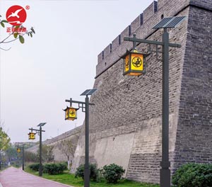 LED庭院燈ZX-TYD148